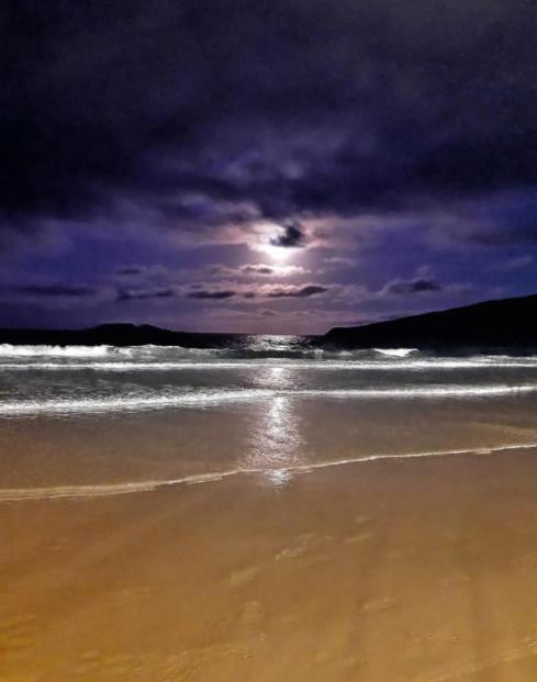 Apartamento Aconchegante A 200 Metros Da Praia Florianópolis Exteriör bild